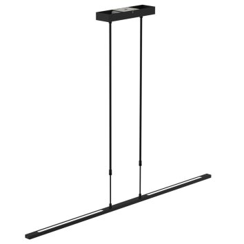 Steinhauer Zelena Lámpara Colgante LED Negro, 1 luz