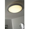 Trio 6265 Lámpara de techo LED Titanio, Blanca, 1 luz