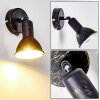 Polmak Foco de pared Negro-dorado, 1 luz