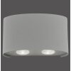 Aplique Paul Neuhaus CARLO LED Plata, 4 luces