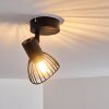 Lámpara de Techo Holbol Negro, 1 luz