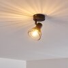 Lámpara de Techo Holbol Negro, 1 luz