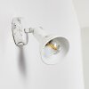 Polmak Foco de pared dorado, Blanca, 1 luz