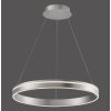 Paul Neuhaus Q-VITO Lámpara Colgante LED Acero inoxidable, 1 luz, Mando a distancia
