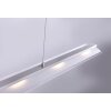Paul Neuhaus NELE Lámpara Colgante LED Acero inoxidable, 5 luces