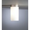 Tecnolumen DMB 31 Lámpara de techo Níquel-mate, 1 luz