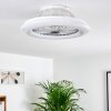 Piraeus Ventilador de techo LED Titanio, Blanca, 1 luz, Mando a distancia