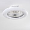 Piraeus Ventilador de techo LED Titanio, Blanca, 1 luz, Mando a distancia