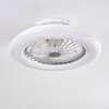 Piraeus Ventilador de techo LED Titanio, Blanca, 1 luz, Mando a distancia