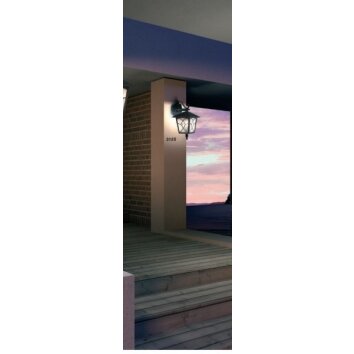 Globo ATLANTA Lámpara para exterior Marrón, Color óxido, Transparente, claro, 1 luz