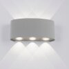 Aplique Paul Neuhaus CARLO LED Plata, 6 luces