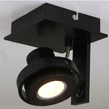 Steinhauer MEXLITE Lámpara de Techo Negro, 1 luz