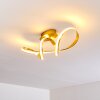 Woyens Lámpara de Techo LED dorado, 1 luz