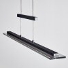 Junsele Lámpara Colgante LED Negro, 1 luz