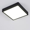 Kragos Lámpara de Techo LED Negro, Blanca, 1 luz
