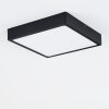 Kragos Lámpara de Techo LED Negro, Blanca, 1 luz