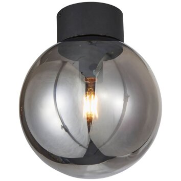 Brilliant Living Astro Lámpara de Techo Negro, 1 luz