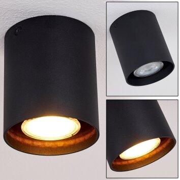 Awuna Lámpara de Techo Negro, 1 luz