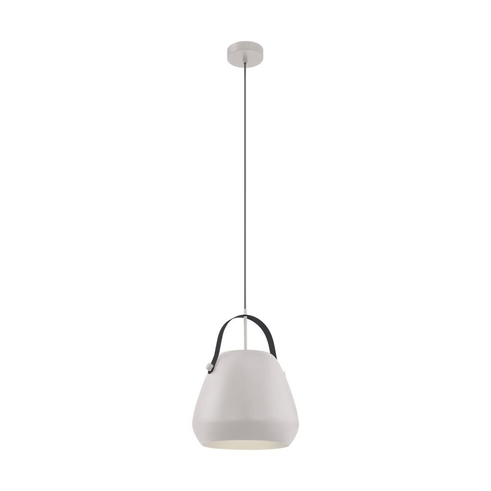 EGLO BEDNALL Lámpara Colgante Gris, Negro, 1 luz main product photo