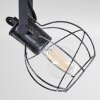 Sundsvall Lámpara de Techo Madera oscura, Negro, 2 luces