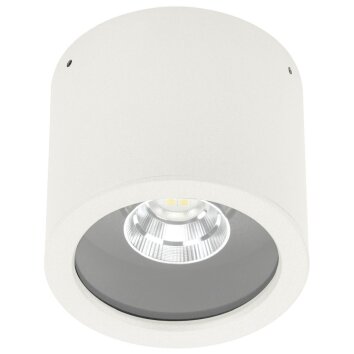 Albert 2319 Lámpara de Techo LED Blanca, 1 luz