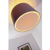 Brilliant Clarie Lámpara de techo Acero inoxidable, 1 luz