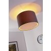 Brilliant Clarie Lámpara de techo Acero inoxidable, 1 luz