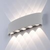 Aplique Paul Neuhaus CARLO LED Plata, 10 luces