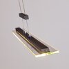 Junsele Lámpara Colgante LED Negro, 1 luz