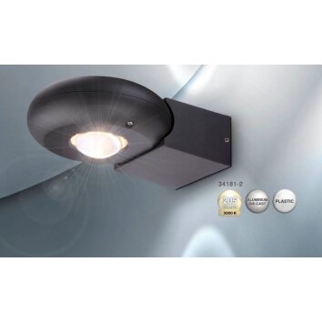 Globo RINAH Lámpara para exterior LED Gris, 2 luces