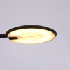 Steinhauer Zenith Lámpara de Mesa LED Negro, 1 luz