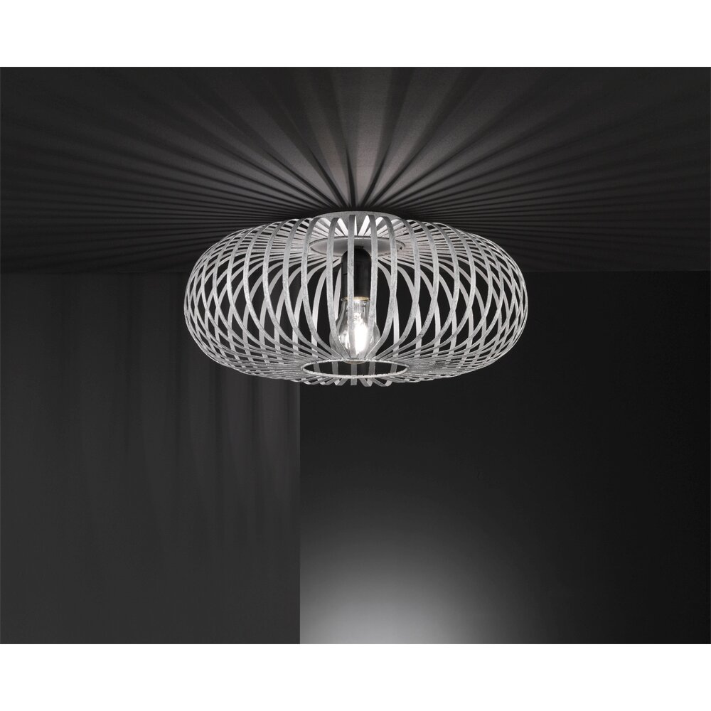 Trio-Leuchten Johann Lámpara de Techo Gris, 1 luz main product photo