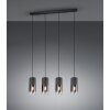 Lámpara Colgante Trio Leuchten ROBIN Negro, 4 luces