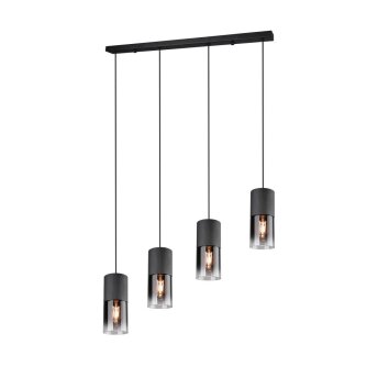 Lámpara Colgante Trio Leuchten ROBIN Negro, 4 luces