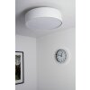Trio 3033 Lámpara de techo Níquel-mate, 3 luces