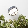 Brilliant Nyx Aplique para exterior LED Antracita, 1 luz
