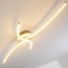 Askim Lámpara de Techo LED Plata, 1 luz