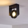 Grytgol Lámpara de Techo Negro, 1 luz