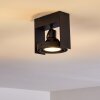 Grytgol Lámpara de Techo Negro, 1 luz