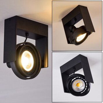 Grytgol Lámpara de Techo Negro, 1 luz