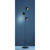 Trio DAKOTA Lámpara de Pie Negro, 3 luces