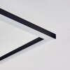 Lithgow Lámpara de Techo LED Negro, 1 luz