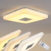 Lumsden Lámpara de techo LED Gris, 1 luz, Mando a distancia