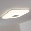 Lumsden Lámpara de techo LED Gris, 1 luz, Mando a distancia
