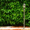 Ribadeo Poste de Jardín Negro-dorado, 1 luz, Sensor de movimiento