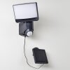 Larvik Aplique para exterior LED Antracita, 1 luz, Sensor de movimiento