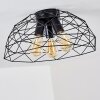 Hajom Lámpara de Techo Negro, 3 luces