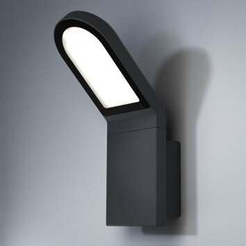 Osram ENDURA Aplique para exterior LED Gris, 1 luz