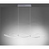 Paul Neuhaus Q-MALINA Lámpara Colgante LED Níquel-mate, 2 luces, Mando a distancia