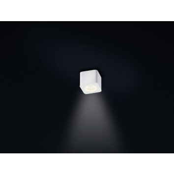 Helestra OSO Lámpara de techo LED Blanca, 1 luz